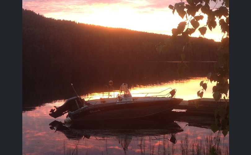 Silver Shark 580CC-kuva-8